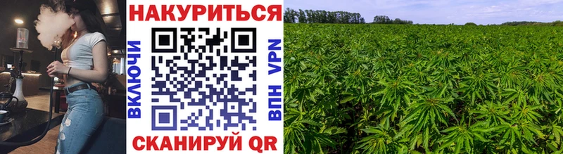 Шишки марихуана тримм Моршанск